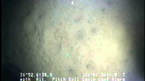 C0212SC_Tape65v.noaudio.mpg