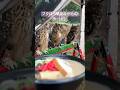 🍜美味しすぎるwライブ ハイライト5/3 #owl #フクロウ