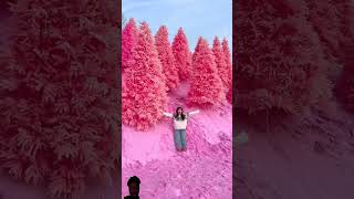 Korea is More Beautiful than You Thought screenshot 5