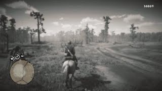 Characters fall through the map in RDR2