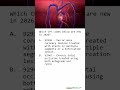 2026 PCI Update - New CPT Codes