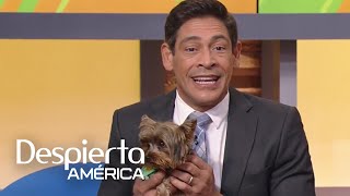 Johnny Lozada casi llora con la sorpresa que le dio su esposa