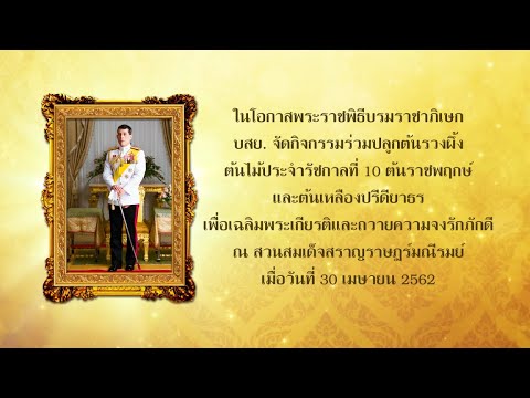 บสย. ปลูกต้นไม้ เฉลิมพระเกียรติ ในโอกาสพระราชพิธีบรมราชาภิเษก พุทธศักราช 2562