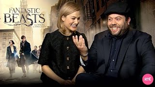 Dan Fogler & Alison Sudol talk Fantastic Beasts and Where to Find Them