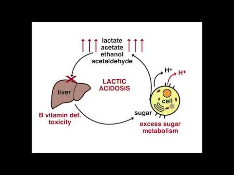 lactic-acidosis-description.-analogy:-dirty-aquarium