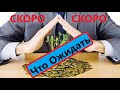 ♨️КАКИЕ ИЗМЕНИЯ ЖДУТ в РАБОТЕ и БИЗНЕСЕ ?Вивиена
