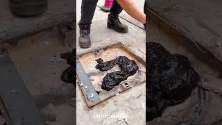 Thumbnail for 🚫➡️🛠️ DIY Asphalt Repair: Transforming Potholes Step-by-Step! 🛣️