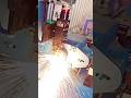Laser pipe cutting machine, laser cutting machine, laser processing machine