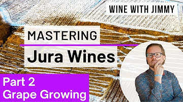 WSET Level 4 (Diploma) Mastering Jura Part 2: The Growing Environment and Grape Growing
