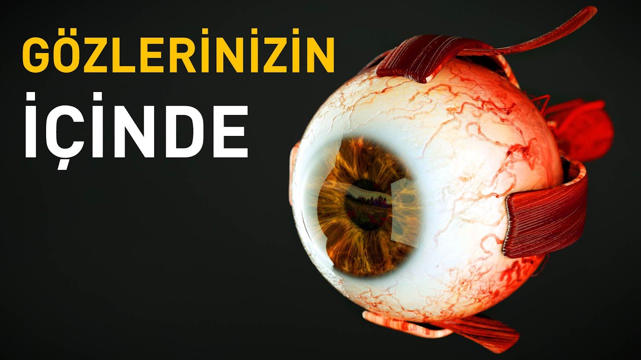 ⁣Gözlerinizin İçinde Neler Olur?