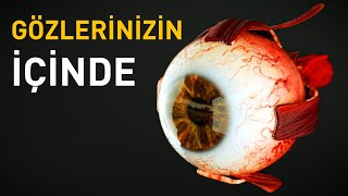 Gözlerinizin İçinde Neler Olur?