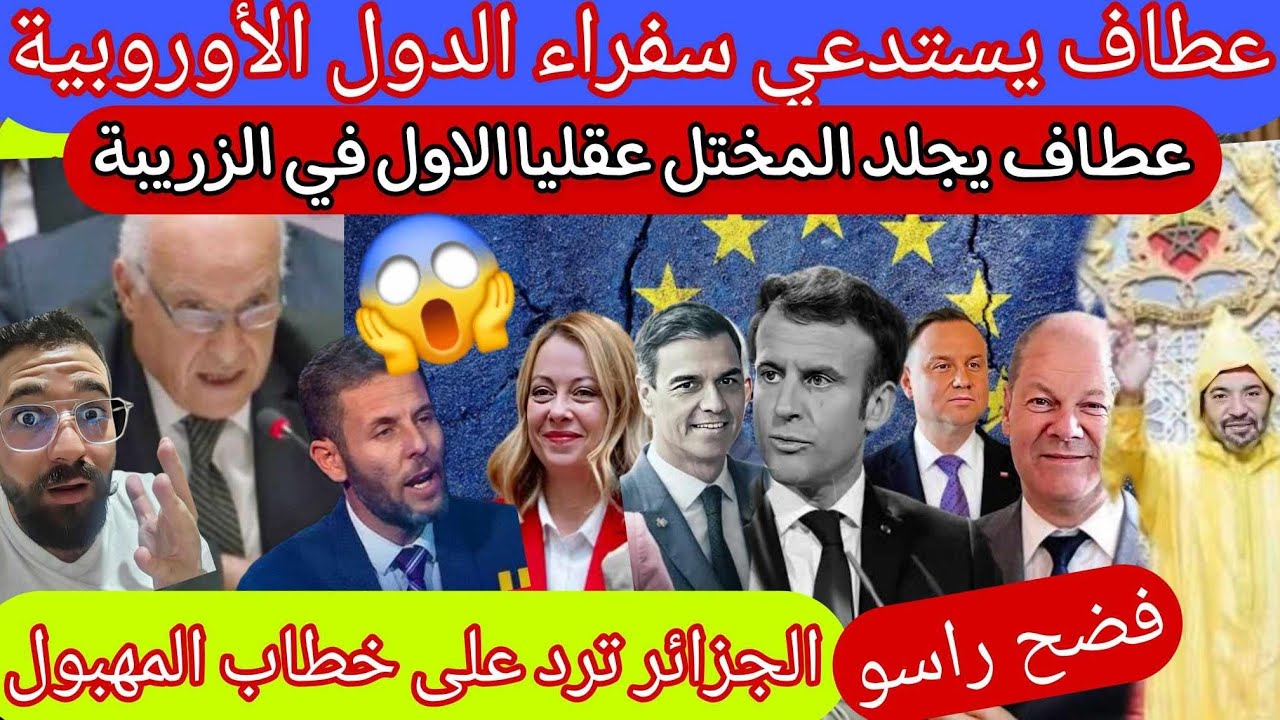 مجنو R عطاف يقلب الطاولة على سفراء الدول الاوروبية ويجلد مجنو.ن الزربية بعد ...