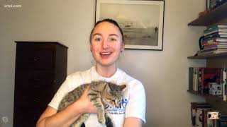 It's purrsday: Adopt a furry friend from Humane Ohio and protect them from the cold