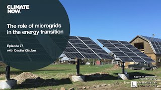 The role of microgrids in the energy transition