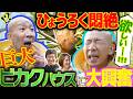 【ひょうろく旅】物欲爆発!!九州の巨大ビカク楽園で朝活🧑🌾/変態植物倶楽部~列島縦断!ひょうろくの未確認変態は何処に~/毎週土曜19時更新 #ひょうろく#珍奇植物 #観葉植物 #ビカクシダ #宮崎県