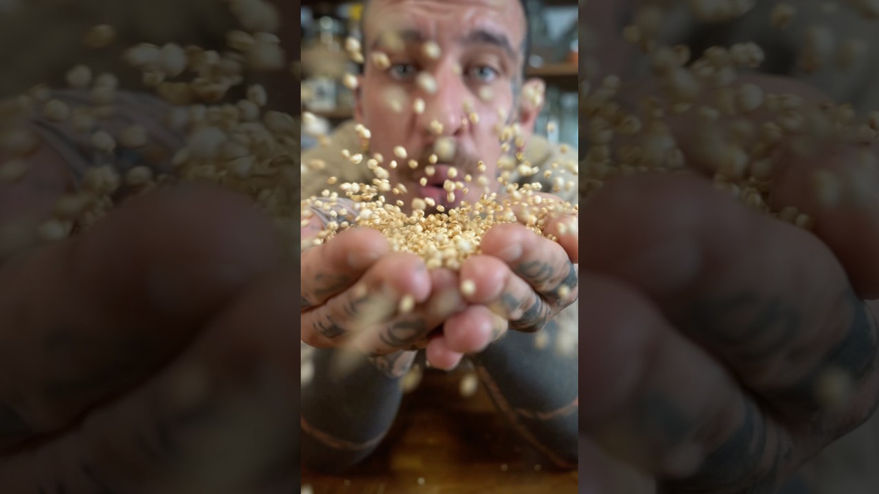 Энергетические закуски из воздушной киноа! 