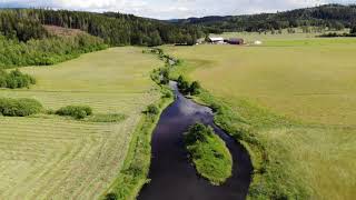 Butorp Ädelfiske