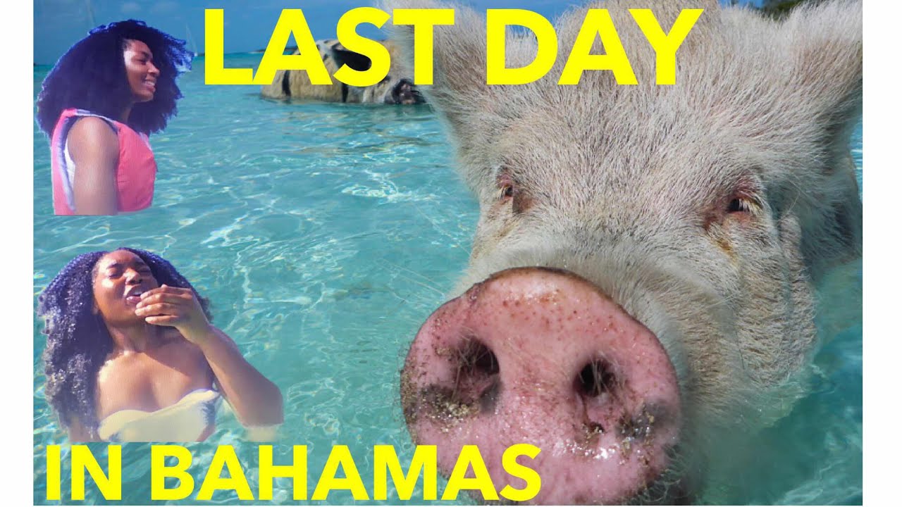 Part 3 | Bahamas Travel Vlog + CRUISE + BEACH + MINGLING WITH LOCALS | KINKYKEEEKS