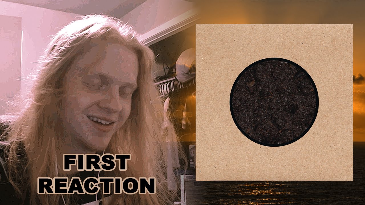 Лебеди - ПЕРВАЯ РЕАКЦИЯ при рождении