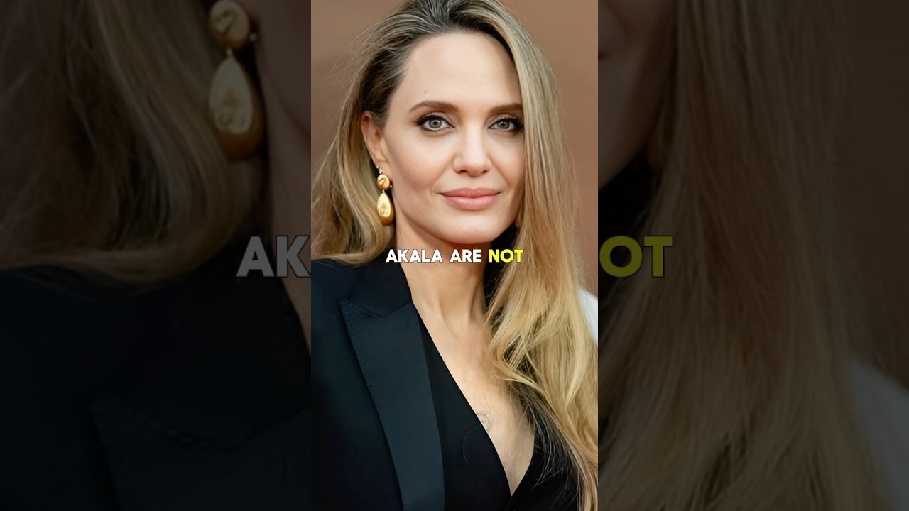 Angelina Jolie Shuts Down Dating Rumors with Rapper Akala 