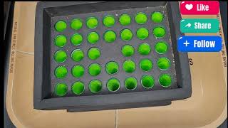 #GOOFIEZ Today we are rolling up GOOFIEZ! With your #1 MEDICAL CANNASSEUR #GOOFIEZ