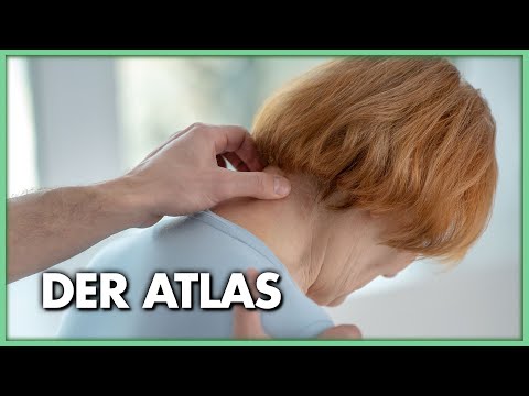 Der Atlas und seine zentrale Rolle für Körper & Geist Der Atlas und seine zentrale Rolle für Körper & Geist