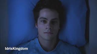 Void Stiles || Humans