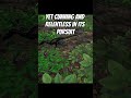 An intro to a Tale of Troodon