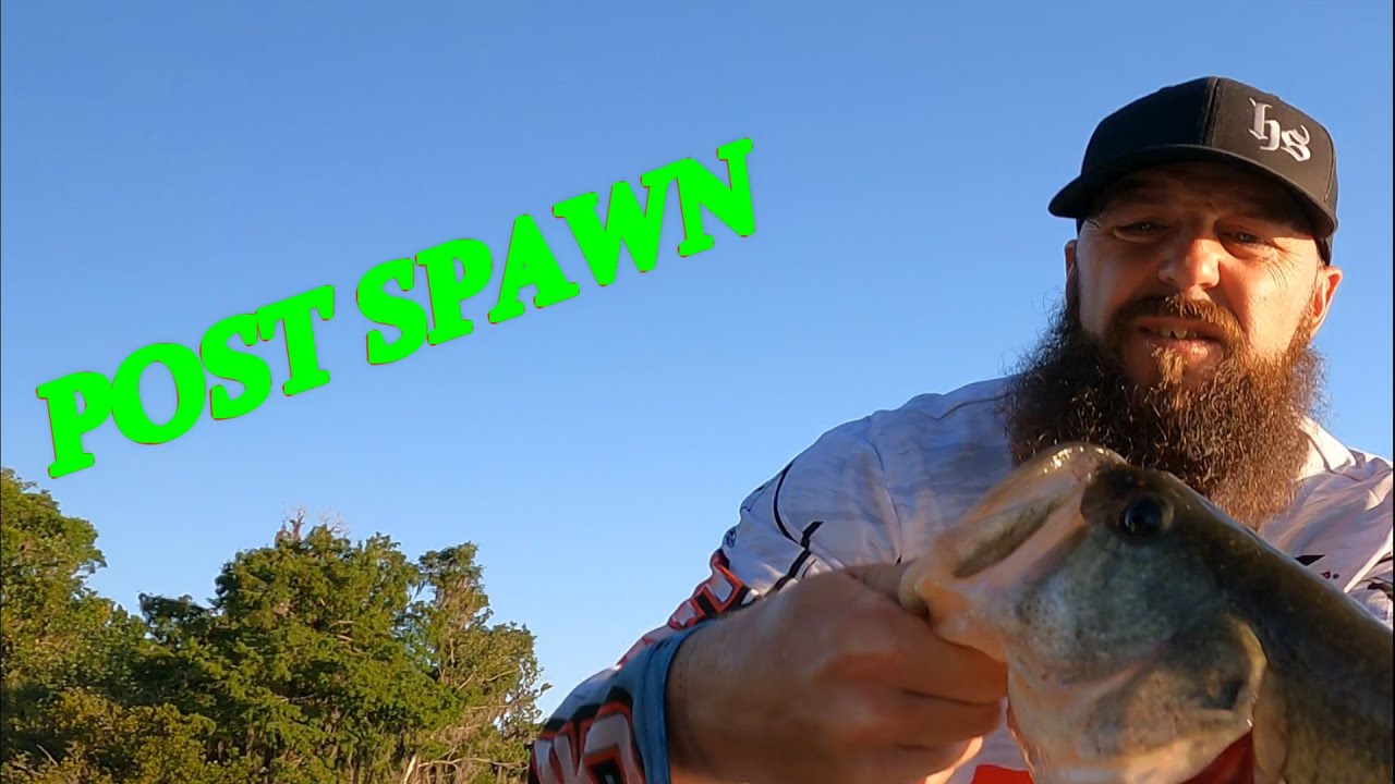 Post Spawn Baits For Largemouth Bass, What Worked.?. Fishing With