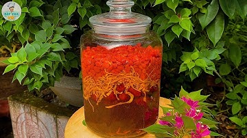 RƯỢU KỶ TỬ ĐÔNG TRÙNG TÁO ĐỎ | Món quà tuyệt vời cho người thân Bếp Của Vợ