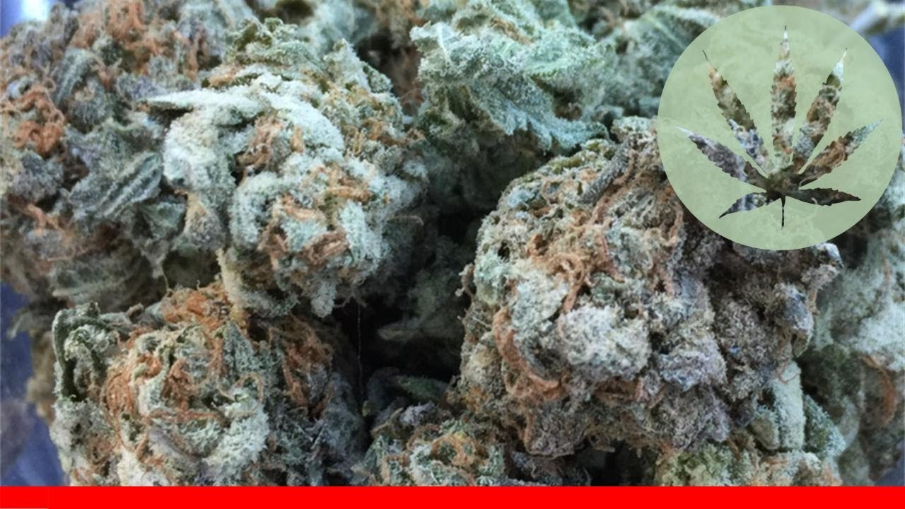 Cookie Dough - All About This Strain