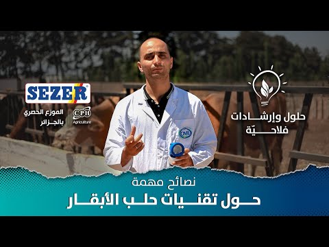 فيديو: لماذا يجب حلب الأبقار؟