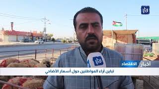تباين آراء الأردنيين حول أسعار الأضاحي