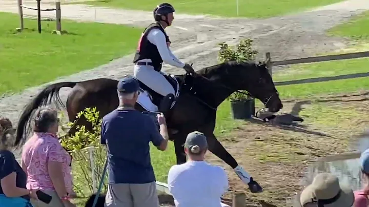 An event like no other  Grand Prix Eventing at Bru...