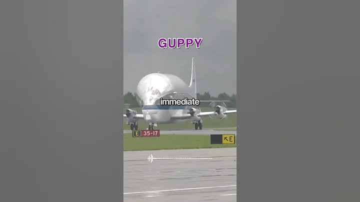 Spirit Gets ROASTED by NASA Aircraft 😂