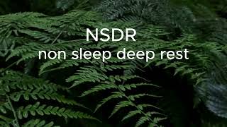 NSDR - non sleep deep rest. Практика глубокого расслабления