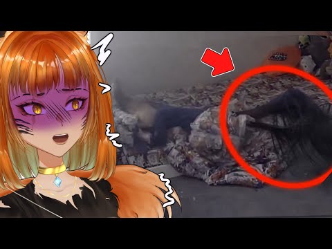 Can You Survive This Scary Compilation?…