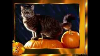 Download Lagu Halloween-A take that wasn`t right MP3