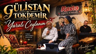 Gülistan Tokdemir - Yaralı Ceylanım (Canli)