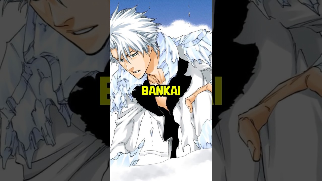 Captain Toshiro Hitsugaya's True Bankai Release Is Misunderstood..