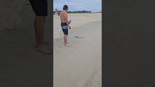 Fishing at the beach
Fishing at the beach Fishing at the beach