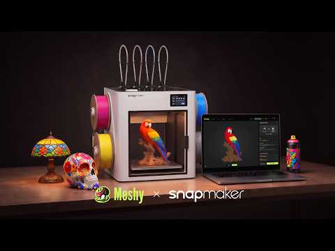 Meshy × Snapmaker: A New Era of Multicolor 3D Printing