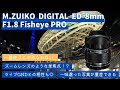 【レンズ紹介】M.ZUIKO DIGITAL ED 8mm F1.8 Fisheye PRO フィッシュアイ補正が便利すぎる 4つの画角が楽しめる魔法の単焦点レンズ【OM SYSTEM】