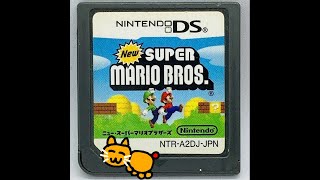 スターコイン全回収DSマリオブラザーズ 2日目　2025/11/22