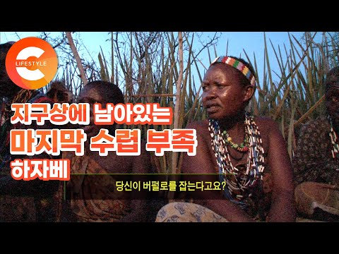 문명을 거부하고 ‘활과 화살’만으로 의식주를 해결하는 진짜 원시 부족. 지구상에 남아있는 마지막 사냥 부족 ‘하자베’를 찾아서