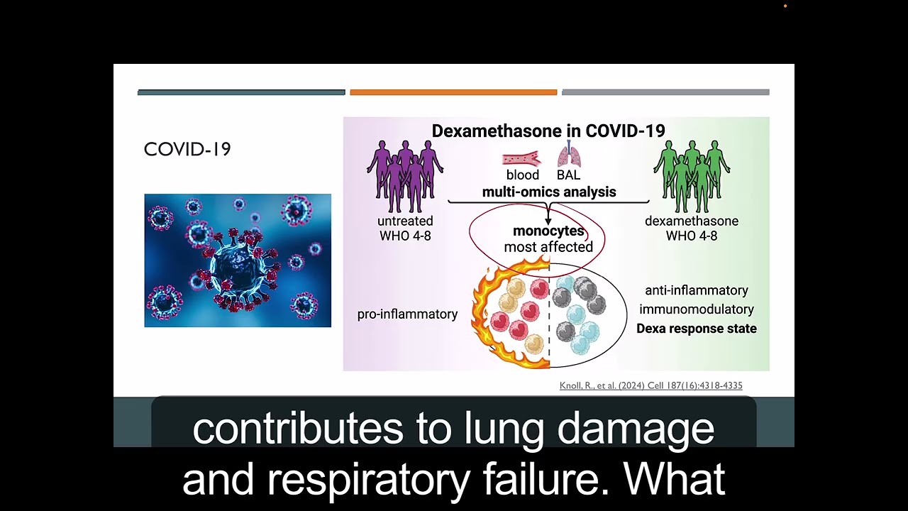Cortisol and Glucocorticoids part 3 of 3: Prednisone, Dexamethasone & Clinical Tradeoffs