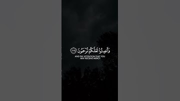 وإذا قرئ القرآن فاستمعوا له وأنصتوا لعلكم ترحمون | سورة الأعراف | القارئ سعد الغامدي