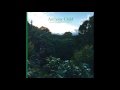 Anthony Child - The Chief