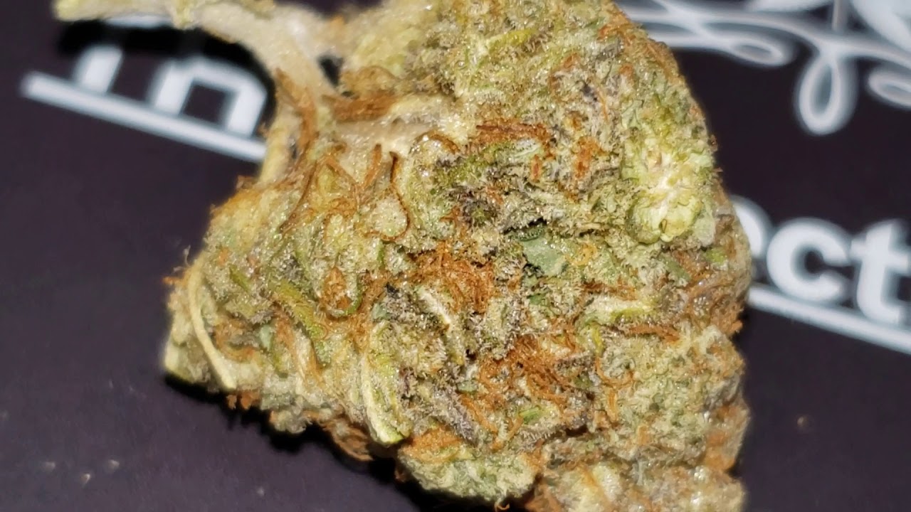 STRAIN REVIEW 174: pink island kush - THCcollection