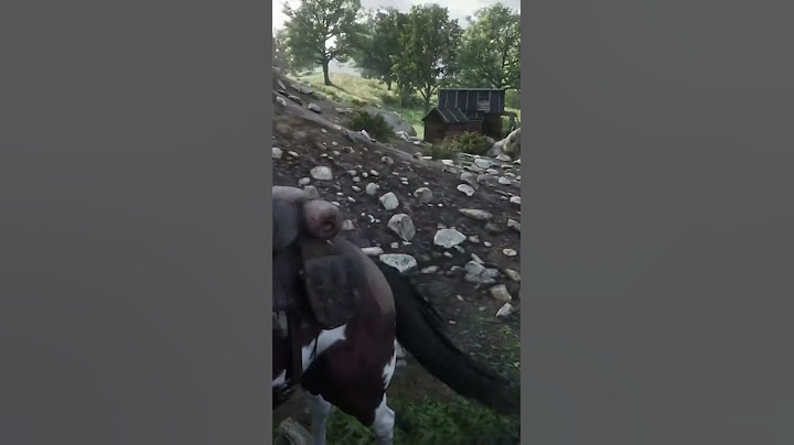 Nos sacamos la chucha | @maaartin_lofe en #Twitch #rdr2 #chile #gaming #streamer